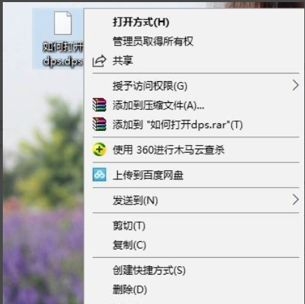 dps文件 dps文件