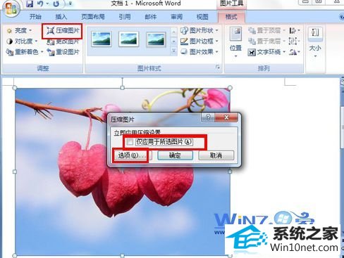 将“仅应用于所选图片”前面的勾去掉 win10系统word文档中图片不显示的图文步骤