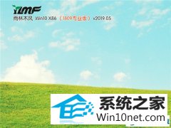 ľ Win10 x861809רҵ棩v2019.05