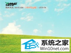 ľ Win10 x861809רҵ棩v2019.06 