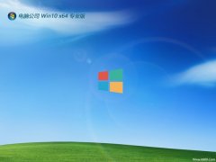 Թ˾win10⼤64λרþ°v2024.04