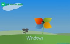 ̲ϵͳwin764λ׼ȫv2025.05 