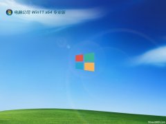 Թ˾win1164λͨöv2024.04 