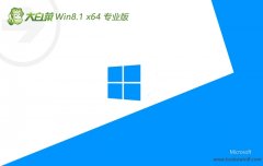 ײwin8.164λļv2024.05